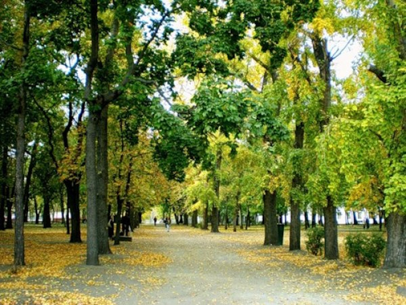 Інфраструктура